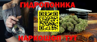 PSILOCYBIN Будённовск