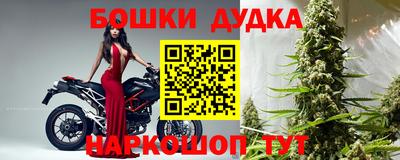 PSILOCYBIN Будённовск