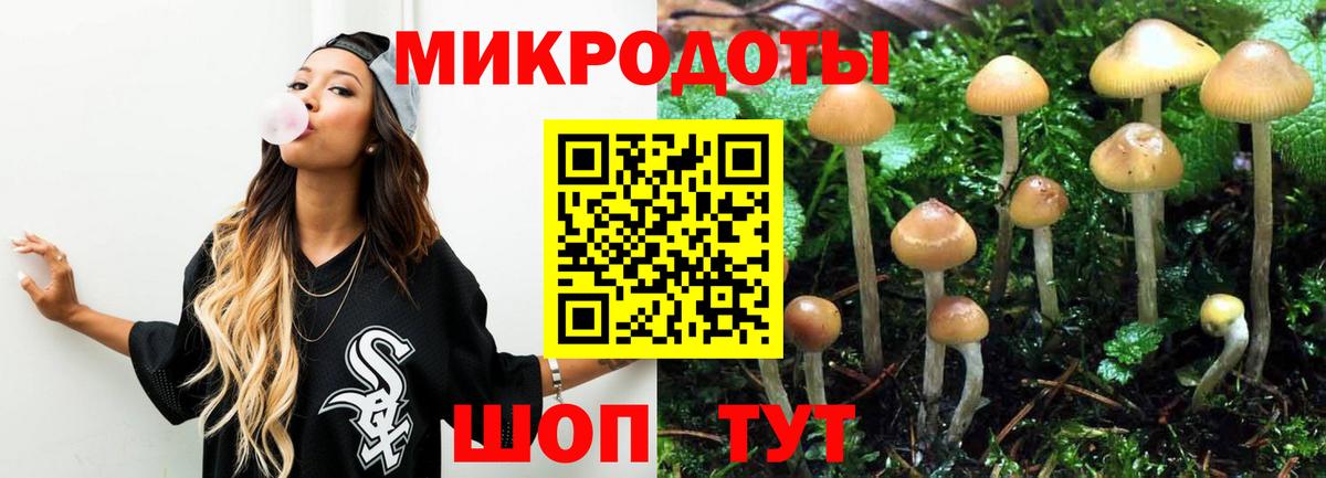Солнечногорск  Галлюциногенные грибы ЛСД  купить   Вход с VPN 