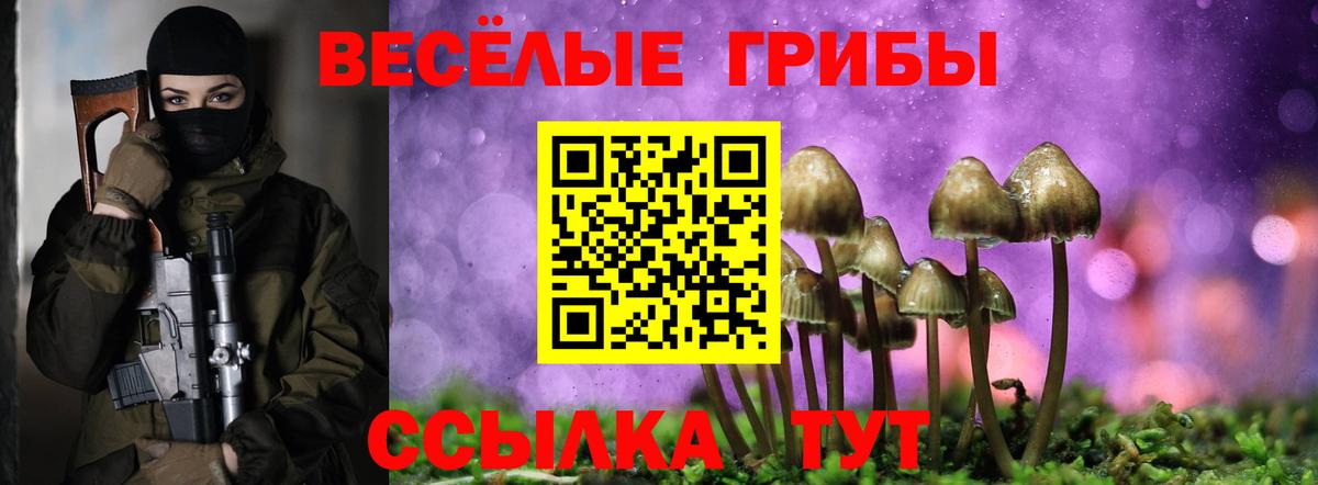 Псилоцибиновые грибы Psilocybine cubensis Солнечногорск